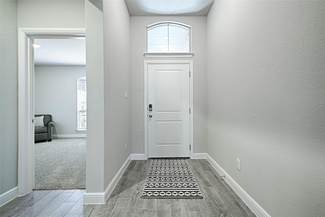 foyer featuring baseboards and wood tiled floor