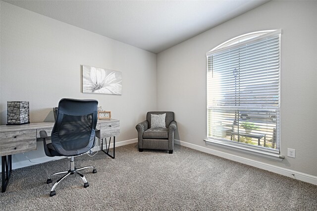 office area with baseboards and carpet floors