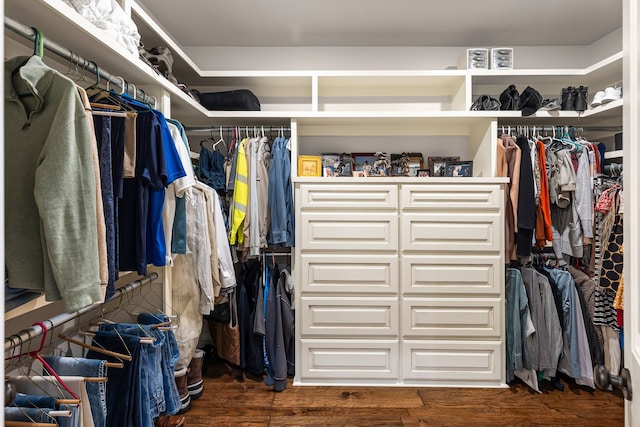 spacious closet featuring wood finished floors