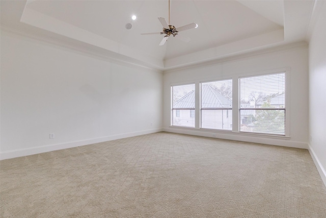 spare room featuring a raised ceiling, plenty of natural light, and baseboards