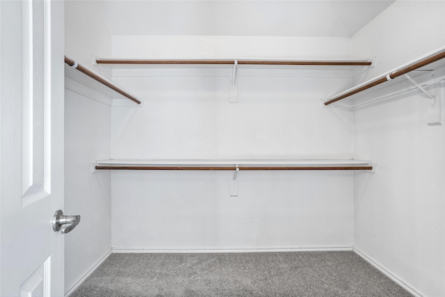 1503 Norway Pine St, Arlington, TX 76012 - spacious closet featuring carpet floors