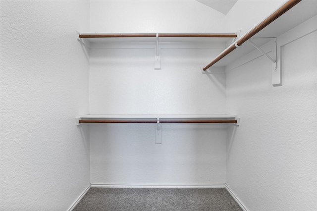 1503 Norway Pine St, Arlington, TX 76012 - spacious closet with carpet flooring