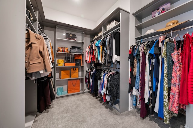 spacious closet featuring carpet flooring