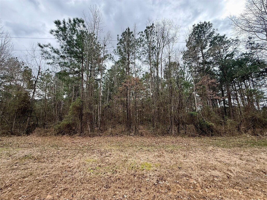 TBD Ranchland Dr, Grand Cane, LA 71032