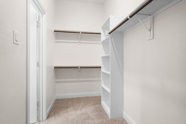 walk in closet featuring carpet floors