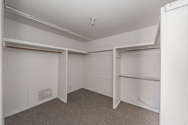 spacious closet with visible vents and carpet flooring