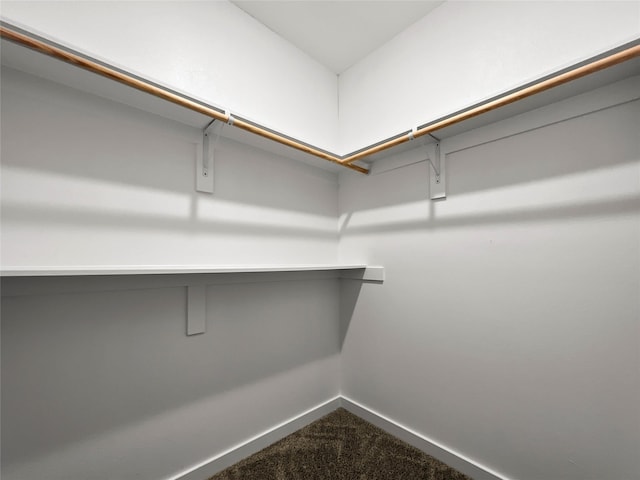 spacious closet with dark carpet