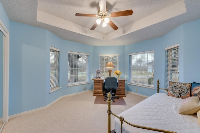 office space with a raised ceiling, carpet flooring, baseboards, and a textured ceiling