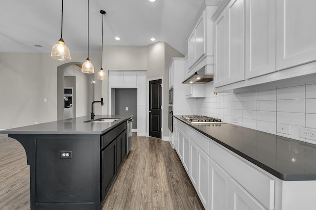 kitchen featuring backsplash, light wood-type flooring, appliances with stainless steel finishes, exhaust hood, and a sink