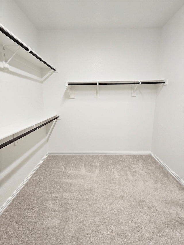 walk in closet featuring carpet floors