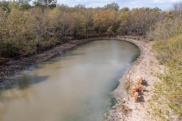 4081 Fm 2736, Campbell, TX 75422 - water view with a forest