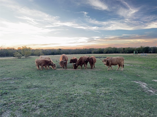 view of community featuring a rural view