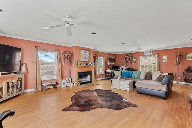 living area with ornamental molding, a healthy amount of sunlight, a fireplace with raised hearth, and hardwood / wood-style floors