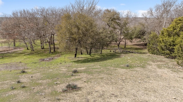 view of local wilderness featuring a rural view