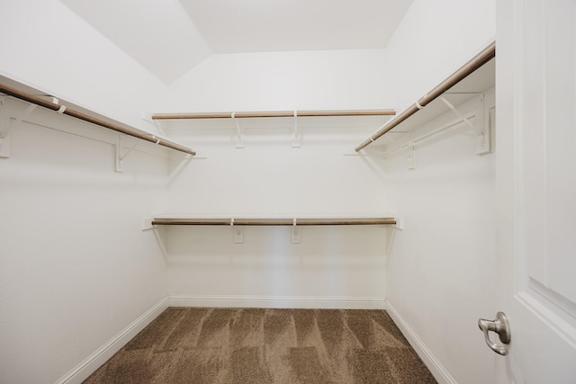 walk in closet with vaulted ceiling and carpet