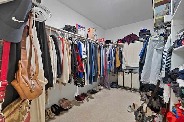 spacious closet featuring carpet flooring