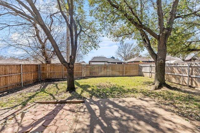 view of yard with a patio area and a fenced backyard