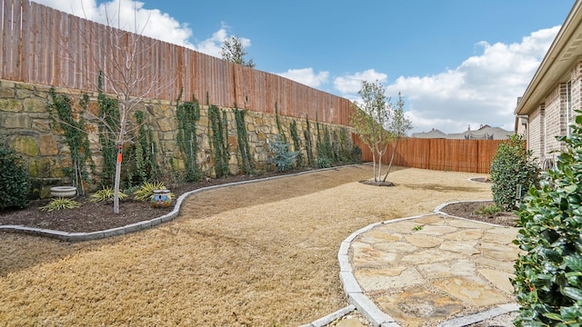 view of yard featuring a fenced backyard and a patio area