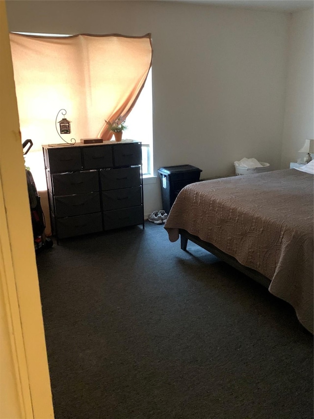 bedroom featuring dark carpet