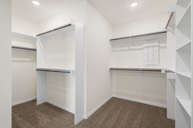 walk in closet featuring carpet flooring