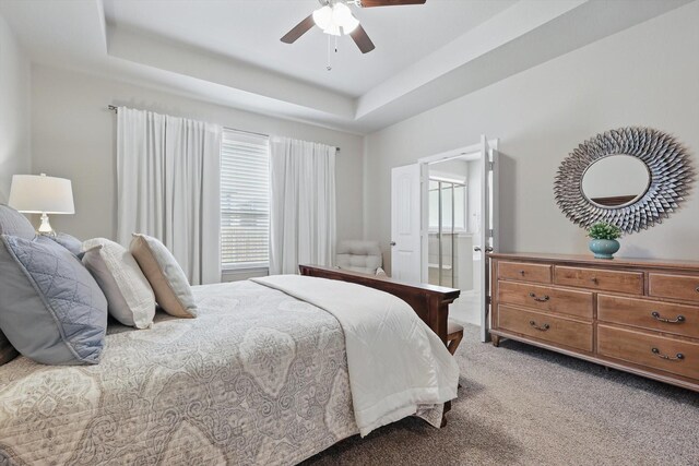 carpeted bedroom with ceiling fan, multiple windows, and a tray ceiling