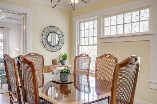 dining room featuring a wealth of natural light