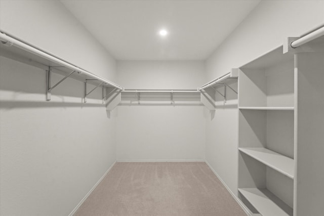 walk in closet featuring carpet