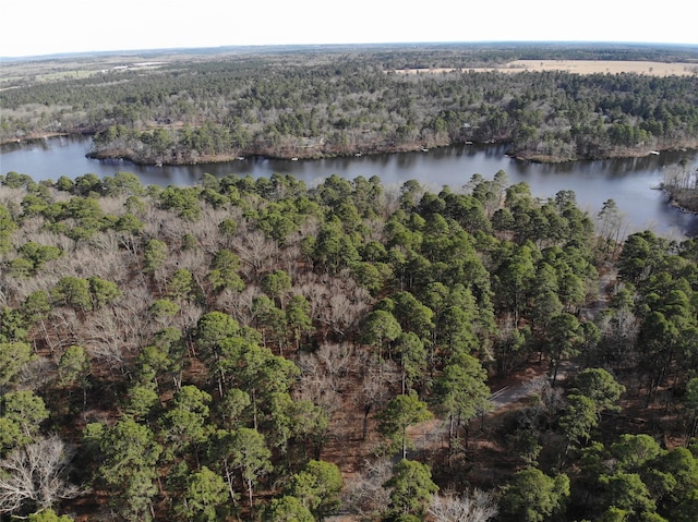 drone / aerial view with a water view and a view of trees