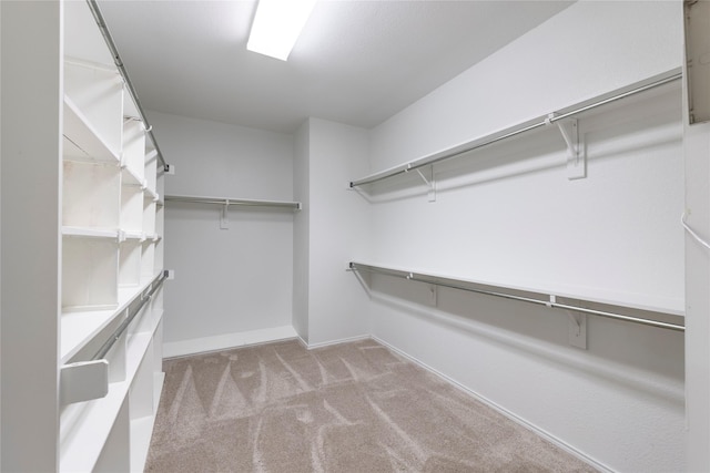 walk in closet with light colored carpet