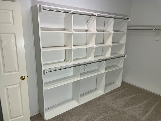 spacious closet with carpet flooring