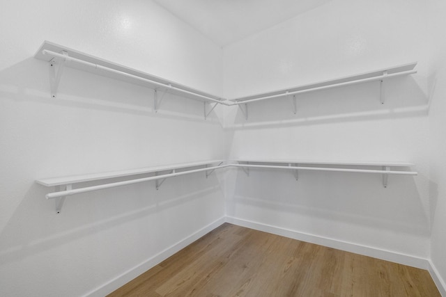 spacious closet featuring wood finished floors