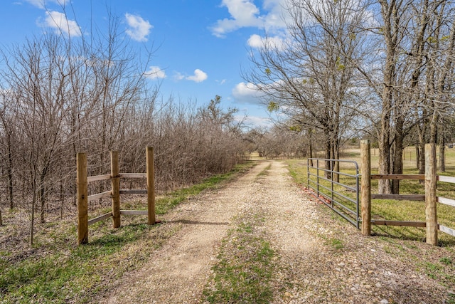 view of street with a rural view, a gated entry, and a gate