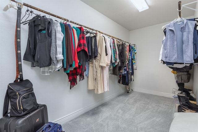 walk in closet featuring carpet flooring