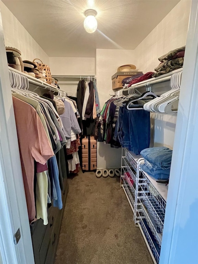 walk in closet featuring carpet flooring