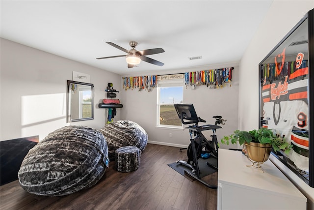 14402 Stice Rd, Krum, TX 76249 - workout area featuring healthy amount of natural light, wood finished floors, a ceiling fan, and baseboards