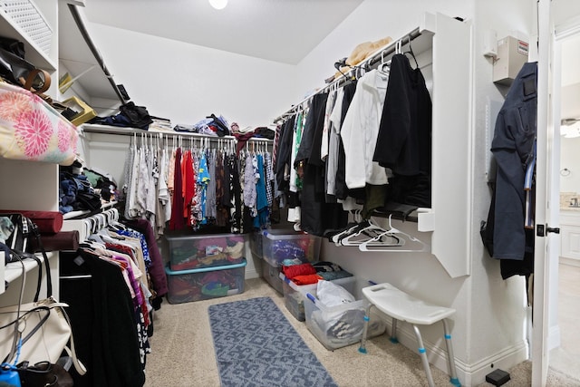 walk in closet featuring carpet flooring