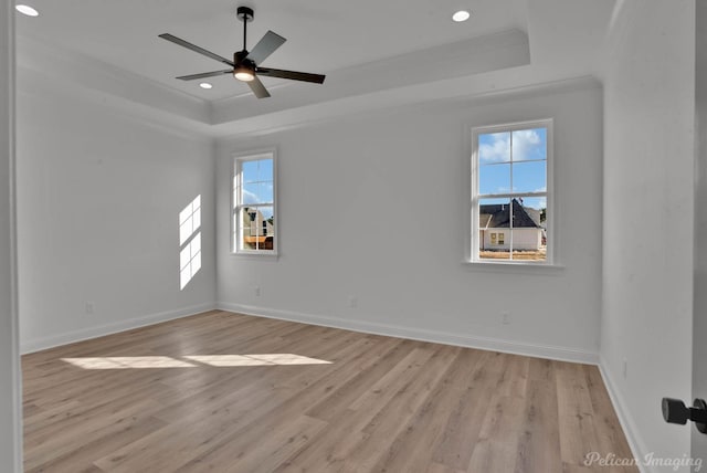 spare room with a tray ceiling, plenty of natural light, and light wood-style flooring