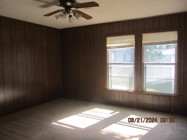 spare room featuring a ceiling fan, a wealth of natural light, and wood walls