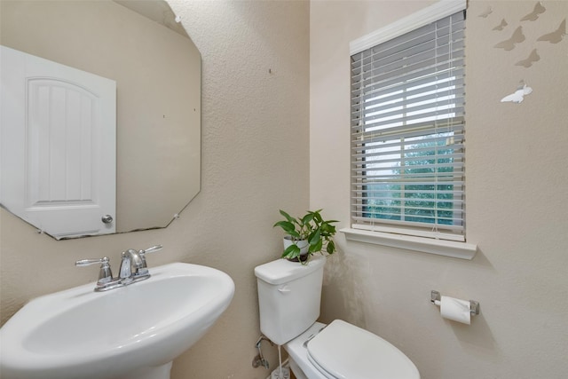 bathroom with toilet and a sink