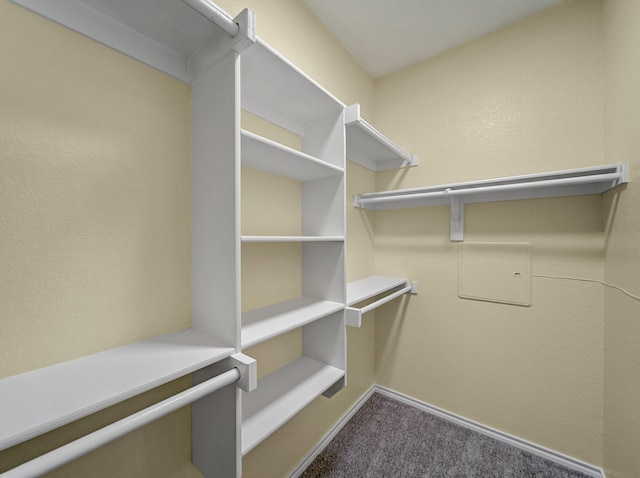 walk in closet with carpet flooring