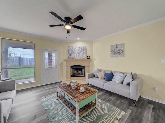 living area featuring baseboards, wood finished floors, a fireplace, and ornamental molding