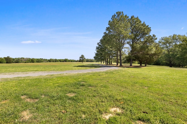 view of yard featuring a rural view and gravel driveway