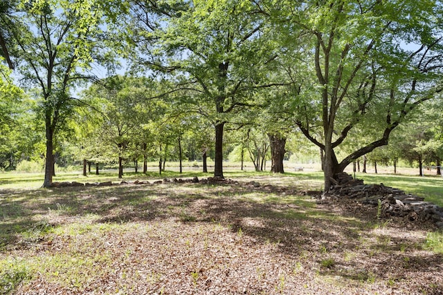 view of landscape