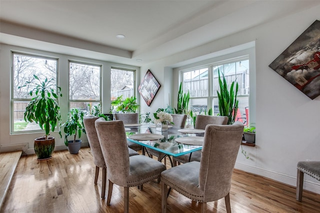 interior space featuring baseboards, plenty of natural light, and wood finished floors