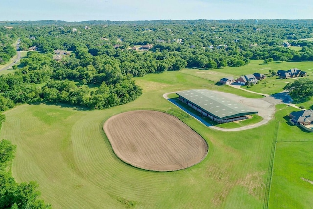 bird's eye view