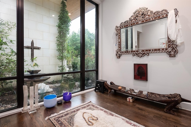 interior space featuring expansive windows and wood finished floors