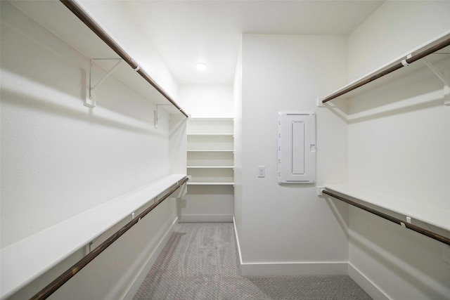 walk in closet with light colored carpet