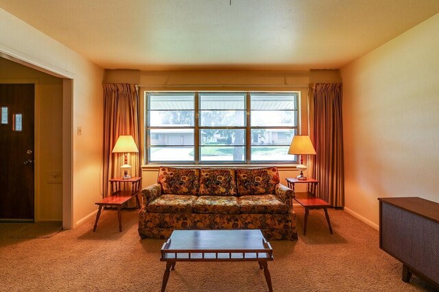 carpeted living area with baseboards