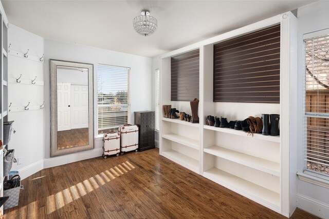 interior space with wood finished floors