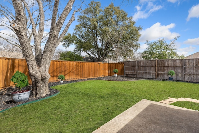 view of yard featuring a fenced backyard